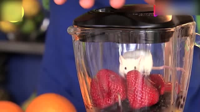 皮孩子把仓鼠放进榨汁机结果他们还喝的很开心路人恶心坏了