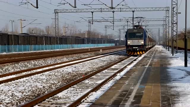 沧州车务段春运父子兵