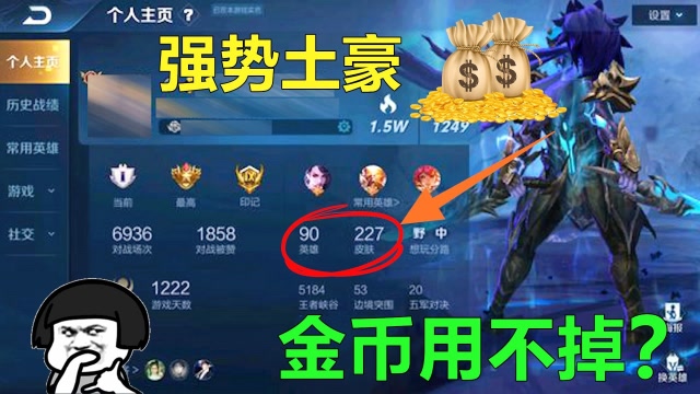 王者荣耀全英雄全皮肤全铭文的v8大佬十几万金币怎么花