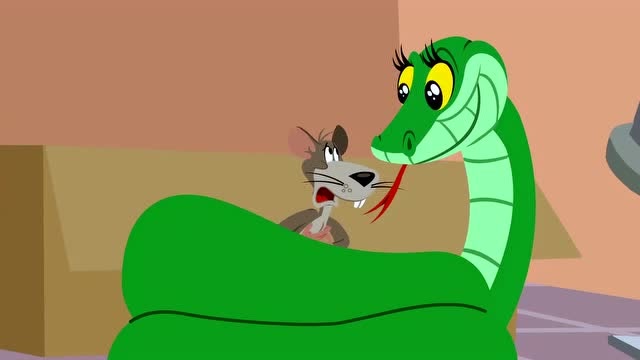 蛇爱上老鼠,一段佳话要诞生了!