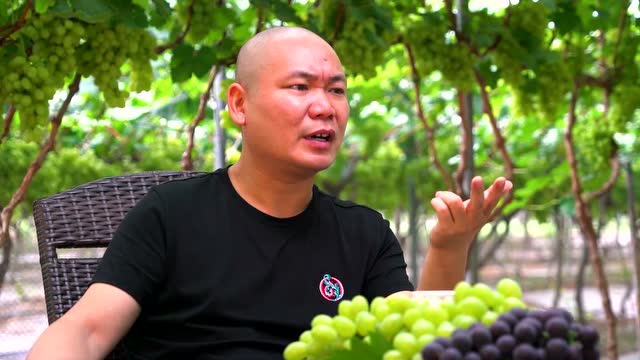 兰志刚采访1分钟