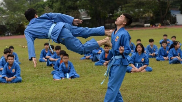 越南传统武术改变的格斗术——越武道比赛,招式很犀利!