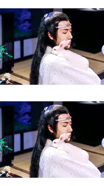 《陈情令》肖战王一博,抱兔子的蓝忘机也太温柔了吧!