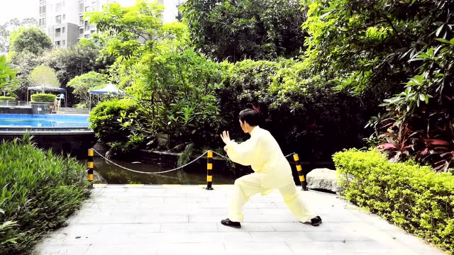 龙奕良武当太乙游龙拳60式背面动作演练