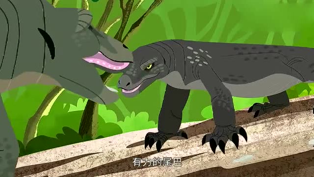 动物兄弟:科摩多龙打架,站起来那刻,真像泼妇
