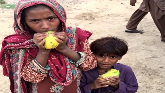 巴基斯坦人吃芒果不剥皮,小孩子看到摄影师拼命的抢镜头