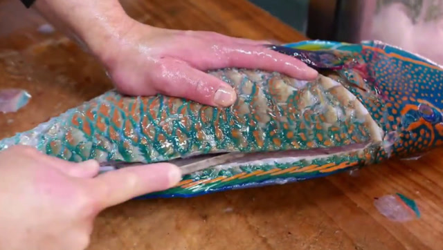 日本顶级大厨用拿破仑鱼做刺身,这刀功和手法,看着就不是普通人