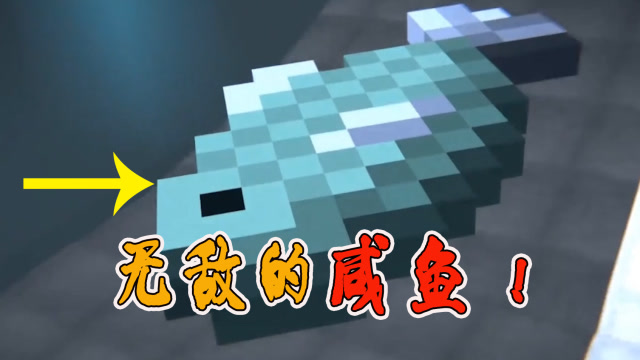 我的世界故事篇:菜鸟最终获得第一名,但代价是咸鱼的离去