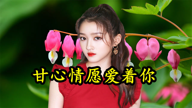 情歌mv:《甘心情愿爱着你》再多坎坷不改本意,付出也愿意