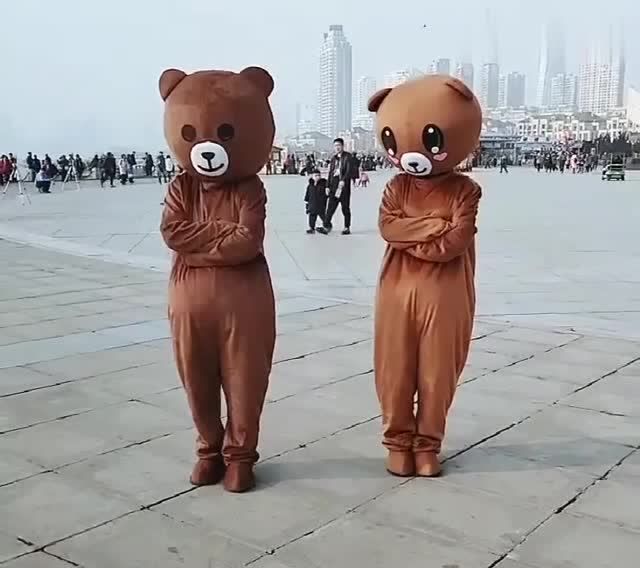 两只网红熊来尬舞,这舞跳得还挺带劲,真是太引人注目了!