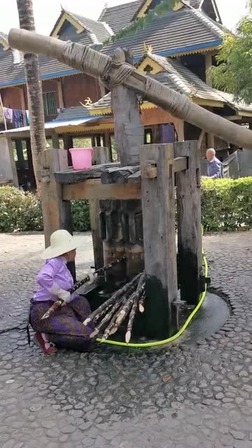 古代榨甘蔗工具很费人力