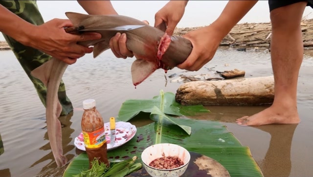 越南小伙抓到一条小鲨鱼,只取其最精华的部位,拌上碎肉大口吃真过瘾