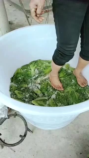 用脚踩出来的酸菜你们敢吃吗