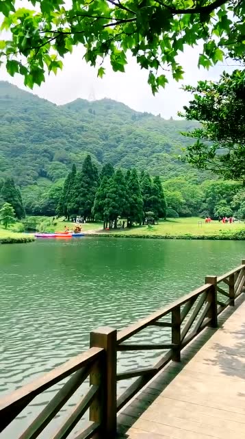 广西大容山国家森林公园,看到好的风景,你会不会心情都好了