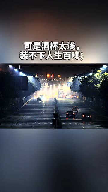 酒杯太浅喝不尽人生百味香烟太短烧不掉尘世烦恼