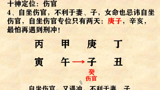 八字自学第33课,十神定位伤官,零基础,轻松学会八字