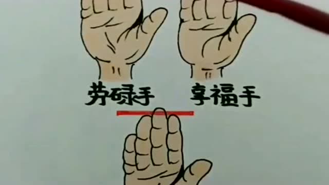 看看你是什么手,不同的手型还能代表不同的命运?这个真有点意思!