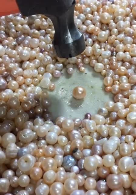 原来把珍珠砸开后里面是这个样子,我还是第一次见到,真是长见识了!