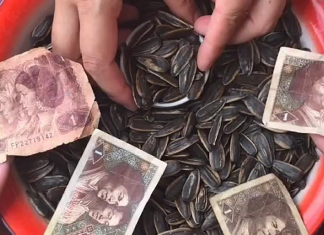 以前的一毛钱都能买瓜子,你还记得吗?这画面真是让人怀念