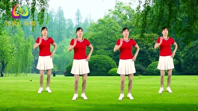广场舞《小小新娘花》经典老歌 简单易学