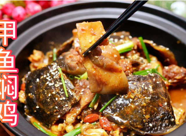 肉质细嫩酱香浓郁甲鱼焖鸡肉,味道实在令人难以置信