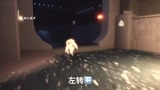光遇：禁阁光之翼汇总
