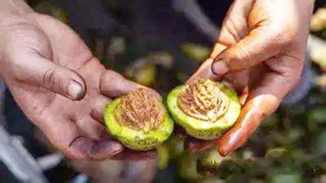 剥青核桃染黑手怎么办?只需涂点厨房里的它,快速洗净无残留!