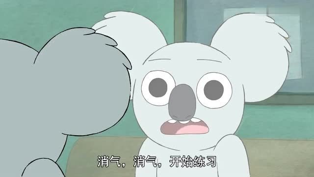 咱们裸熊:镜子,谁才是世界上最可爱的考拉?