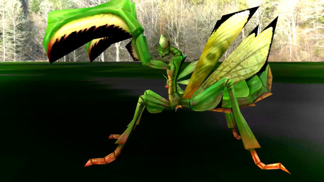 顶尖的战士!残暴的食肉捕食者,螳螂!