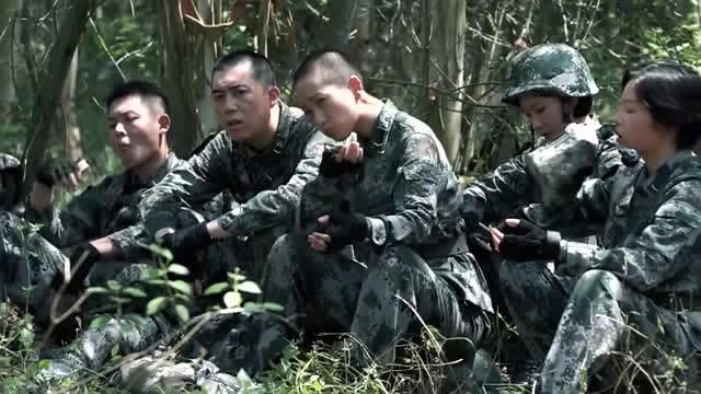 蓝军出击:山豹旅特种小队顺利完成任务,被通知205高地专机接送