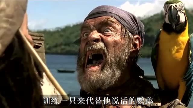 《加勒比海盗》动物明星盘点--科顿的鹦鹉