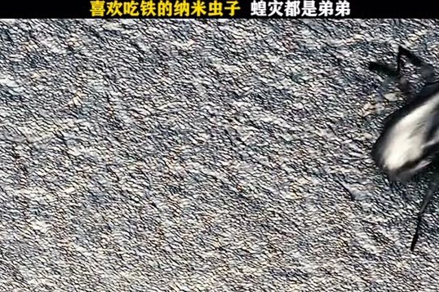 喜欢吃铁的纳米虫子,蝗灾都是弟弟
