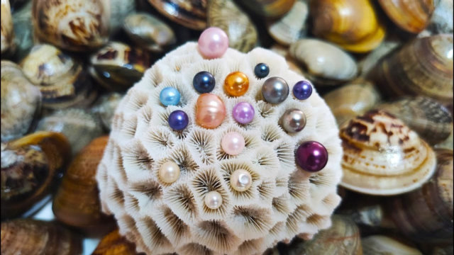 农村妇女捡贝壳,打开收获五彩珍珠,看的让人眼红