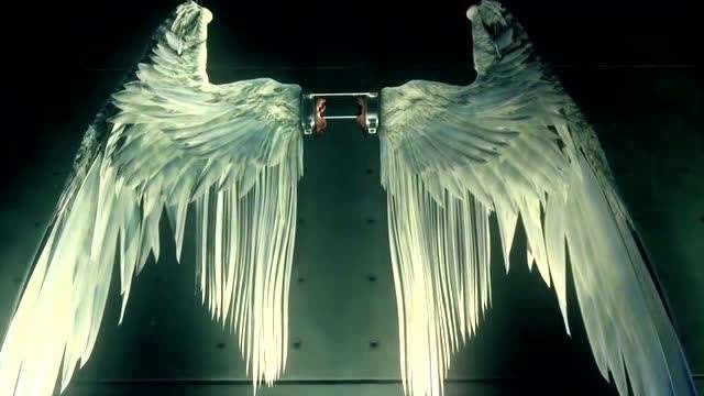 路西法:当天使的翅膀被人类偷走拿去拍卖,他该有多失望