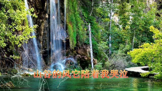 飞哥电吹管二胡可可托海的牧羊人