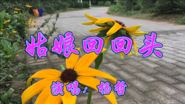 杨哲一首dj《姑娘回回头》深情悠扬,动感欢快,好听极了