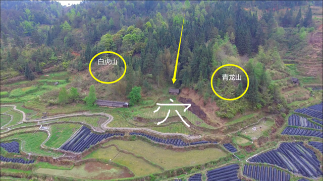 此山贵气十足,青龙白虎环抱,大富大贵的风水宝地