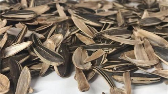 吃剩的瓜子皮一定不要扔,留在家中"太值钱"了,一年省下好几百