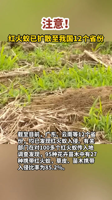 注意!红火蚁已扩散至我国12个省份
