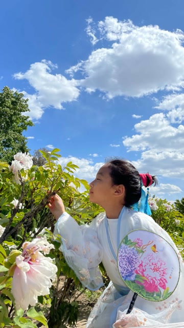 采一朵萱草花送给我小小姑娘.