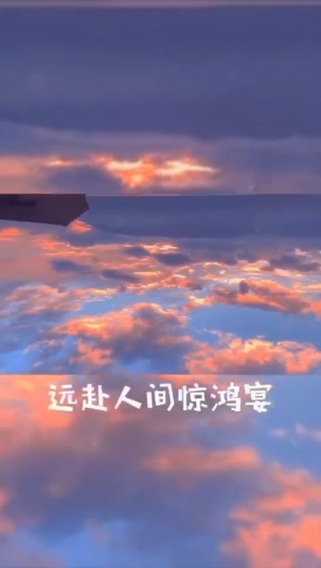 远赴人间惊鸿宴,一睹人间盛世颜