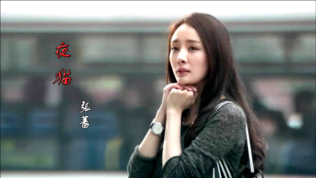 舒服慢摇《夜猫》,张蔷魔性的嗓音,实在太好听了