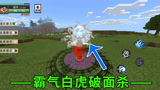 我的世界斗罗大陆生存第五期:霸气白虎破面杀