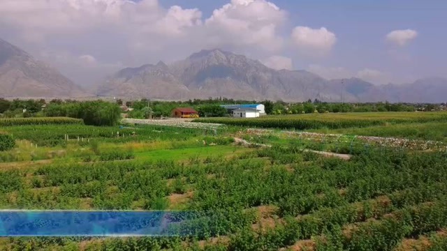 平罗县崇岗镇长青村:期待与你"莓"好相遇