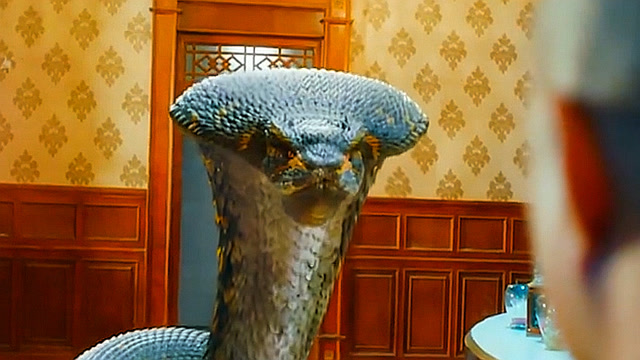 小蛇变异成巨蟒来复仇