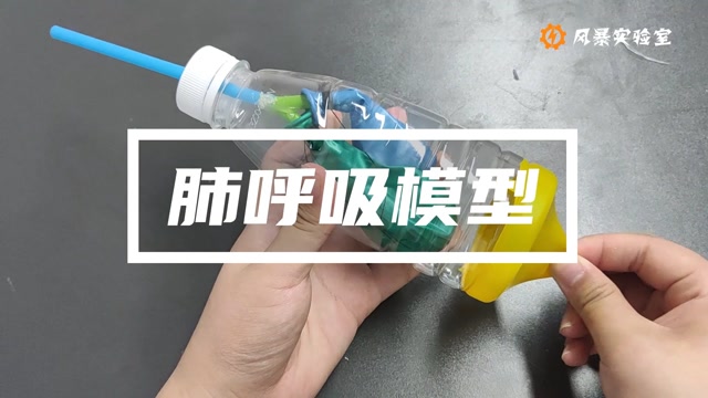 【风暴实验室】肺呼吸模型