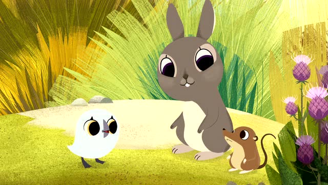 欢乐海鹦岛第二季  第15集 观赏瓢虫