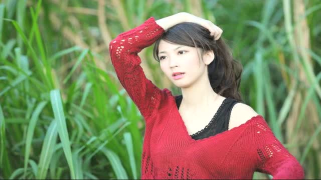 【dj小阳】《美丽草原》精选串烧大碟(19期)