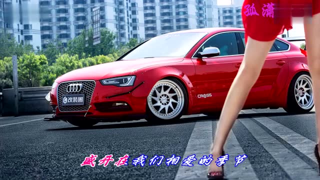 一首dj舞曲菊花爆满山马博,超好听!