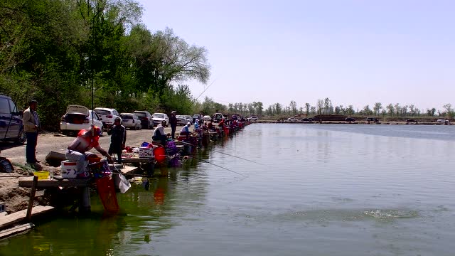 湛卢钓竿 天津静海花园钓场 实测